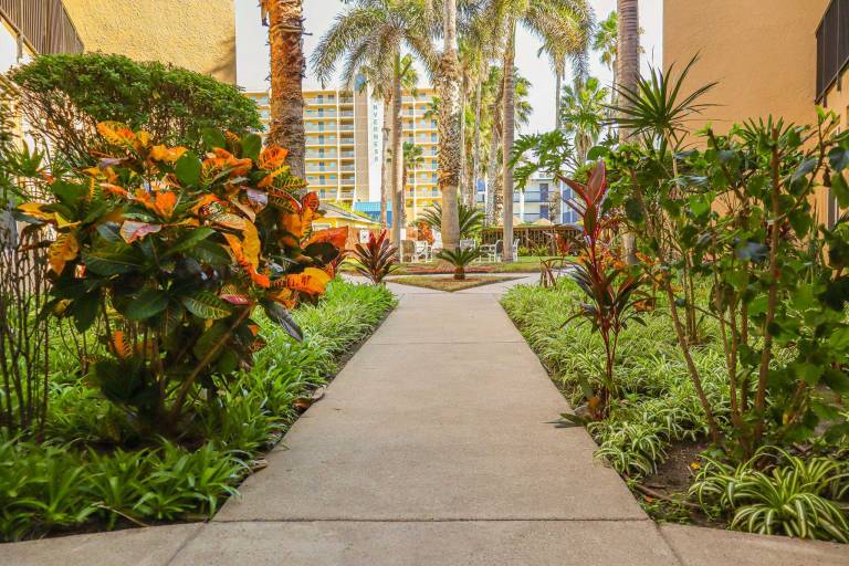 Fully equipped pleasant condo with pool & jacuzzi | Next to the beach | Pets are welcome — photo 5