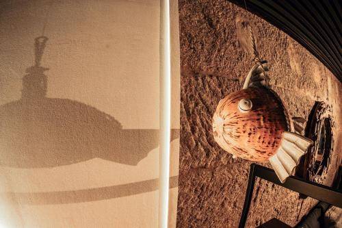 foto8