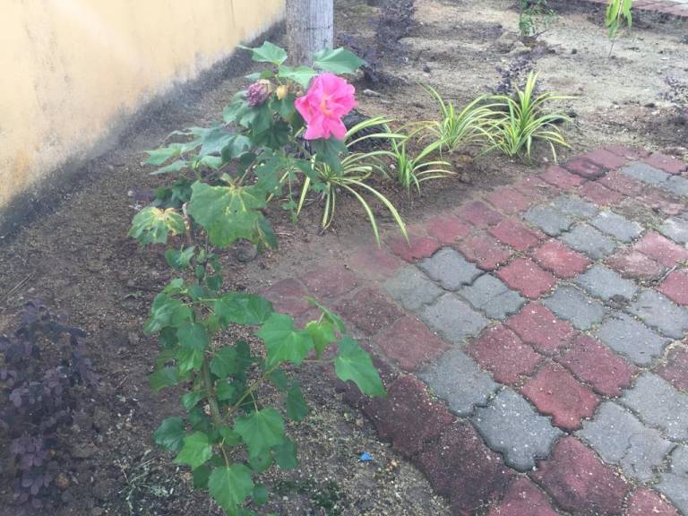 foto22