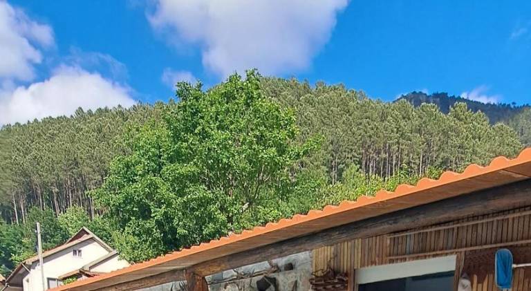 Casa Vilar da Veiga