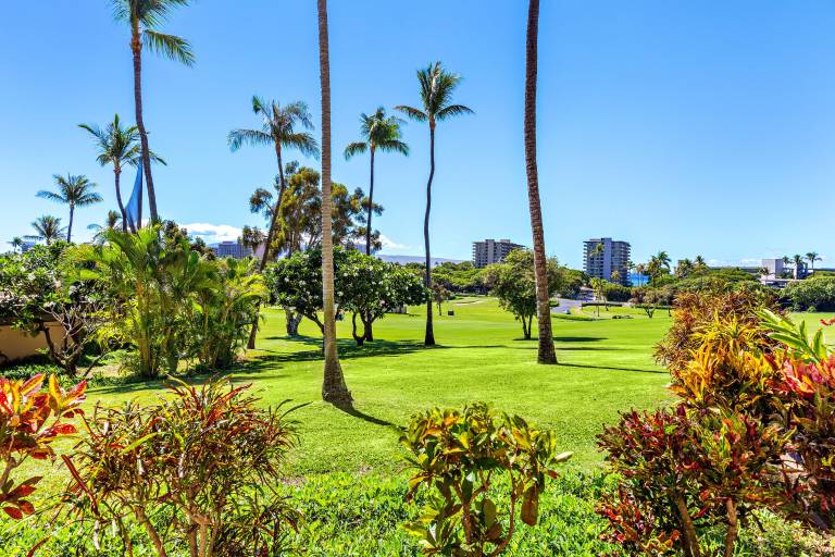 Condo Lahaina