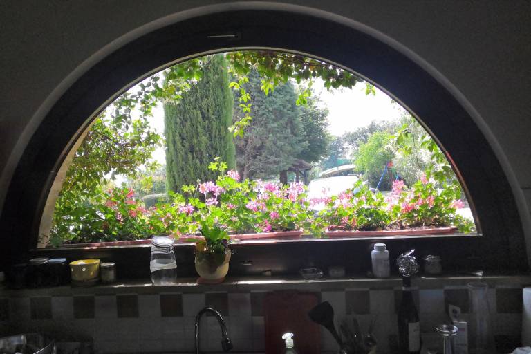 foto21