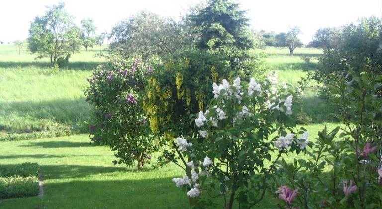 foto9