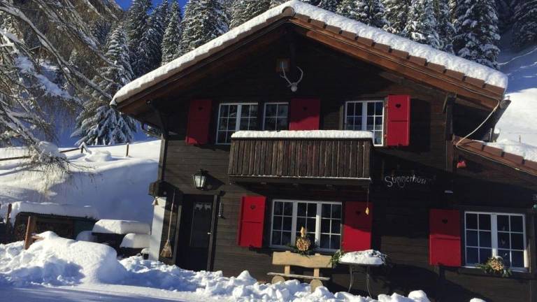 Ferienhaus mit Hund in Adelboden für max. 4 Personen Ferienhaus mit Hund in Adelboden für max. 4 Personen