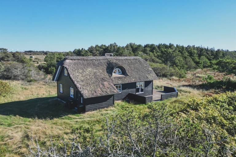 Ferienhaus Skagen