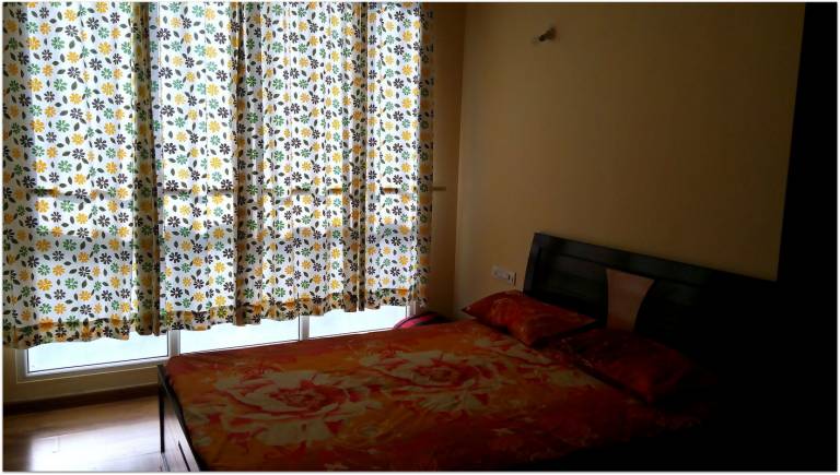 foto8