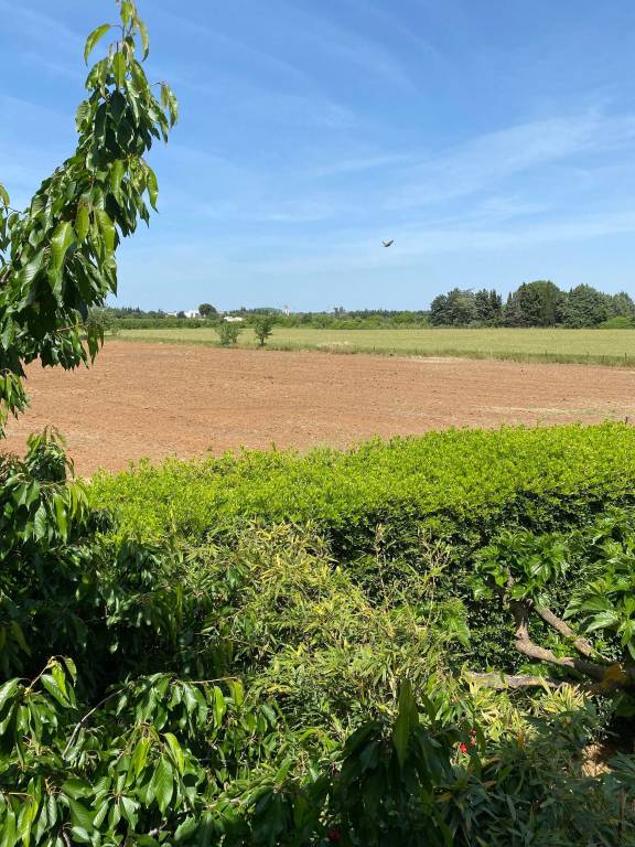 Appartement Lunel-Viel