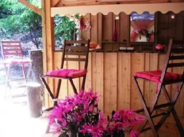 Chalet 'Cap Ferret Villa Grand Bois' with Private Pool — photo 4
