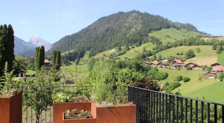 foto6