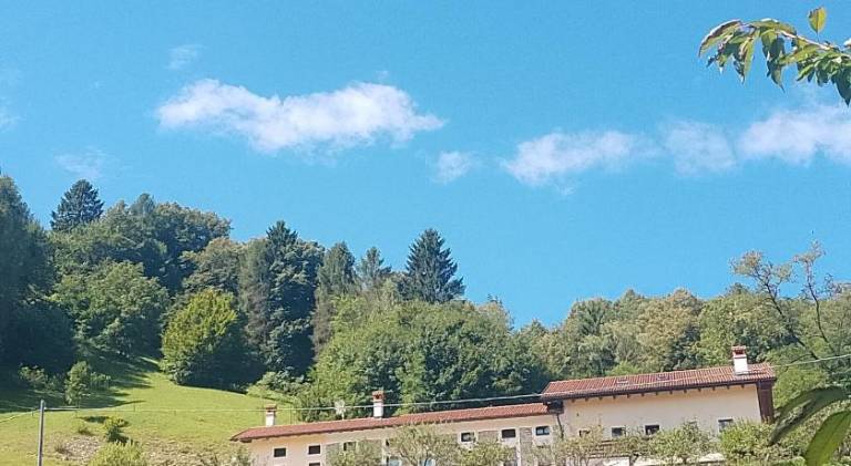 foto38