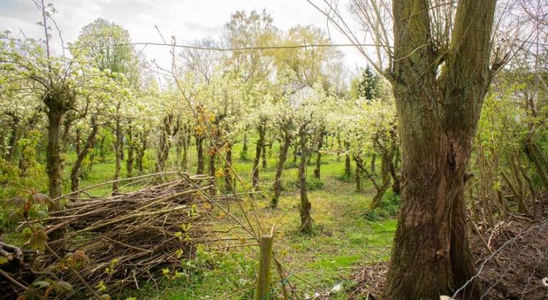 foto37