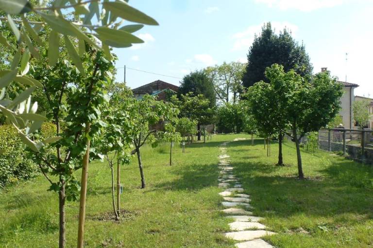 foto12