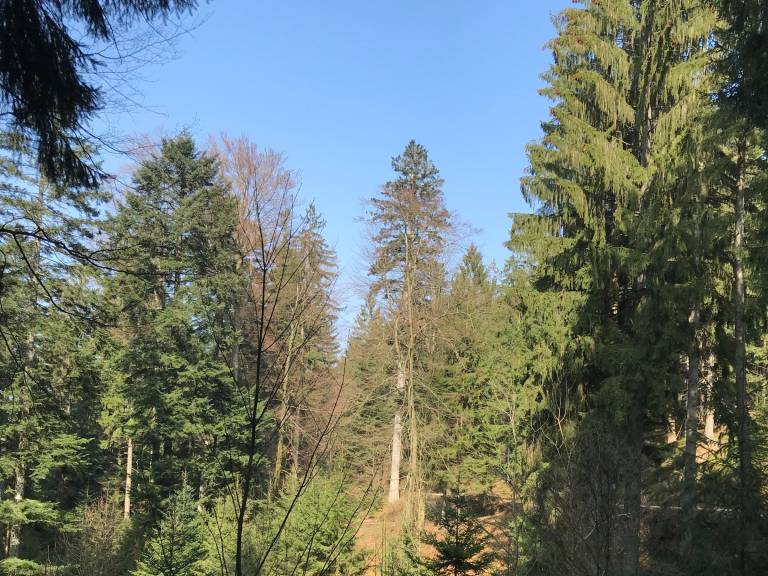 foto23
