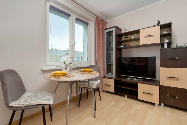 Children-friendly studio with fast internet | Pets are welcome — photo 2