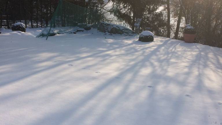 foto6