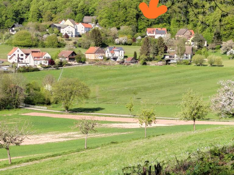 foto1