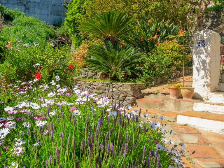 House with terrace, yard & barbecue | Sea view — photo 4