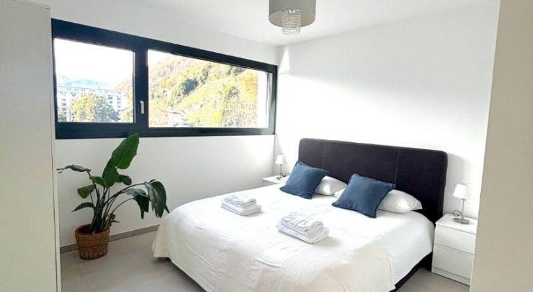 Fully equipped apartment with terrace | Dogs allowed in Losone