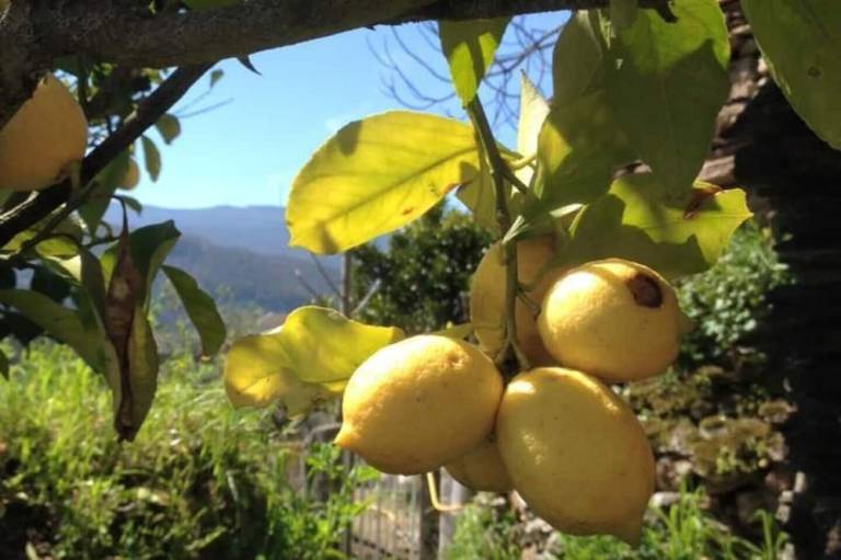 foto8