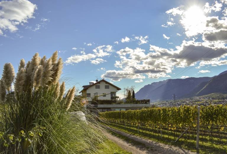 Privatzimmer Eppan