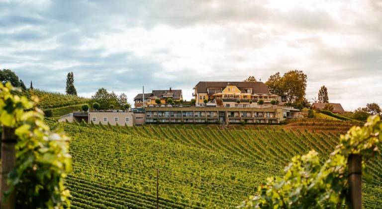 Weinrefugium Brolli