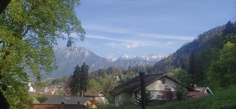 foto7