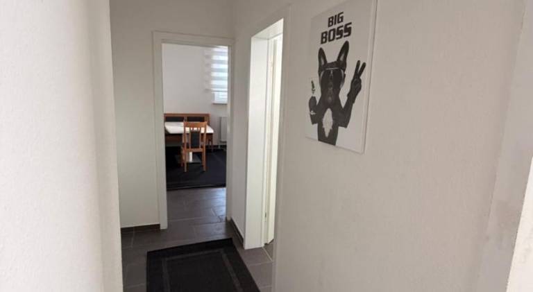 Holiday apartment | Pets allowed — photo 5