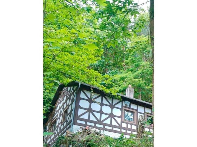 Holiday apartment with yard, terrace & BBQ in Edenkoben