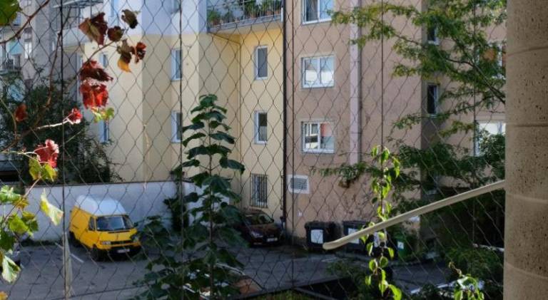 foto7