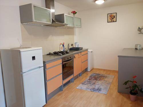 Apartmán  Trenčín