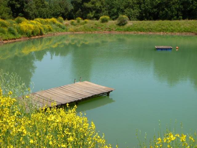 foto14