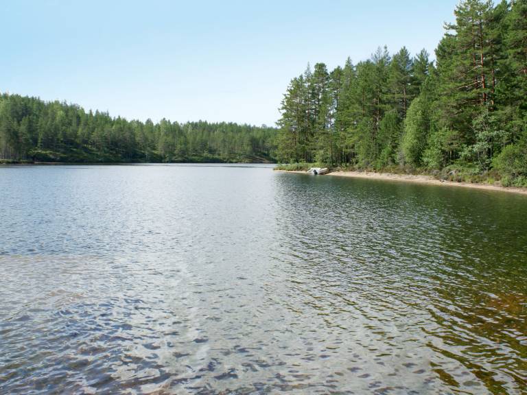 foto12