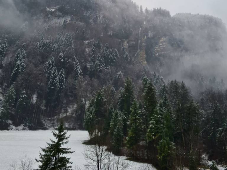 foto19