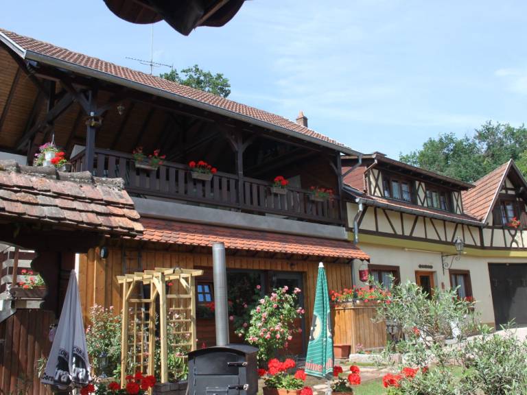 foto4