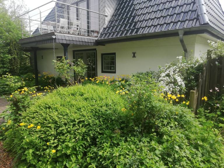 foto18