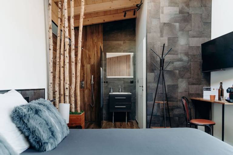 Logement Scionzier