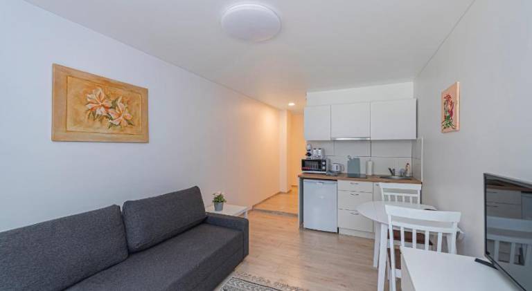 Pleasant apartment | Pets allowed in Kaunas