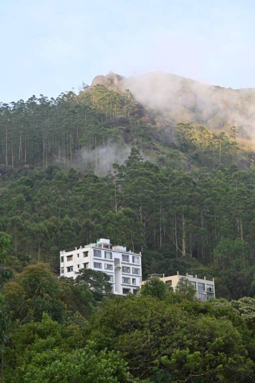 Cloud Dale Suites in Devikolam