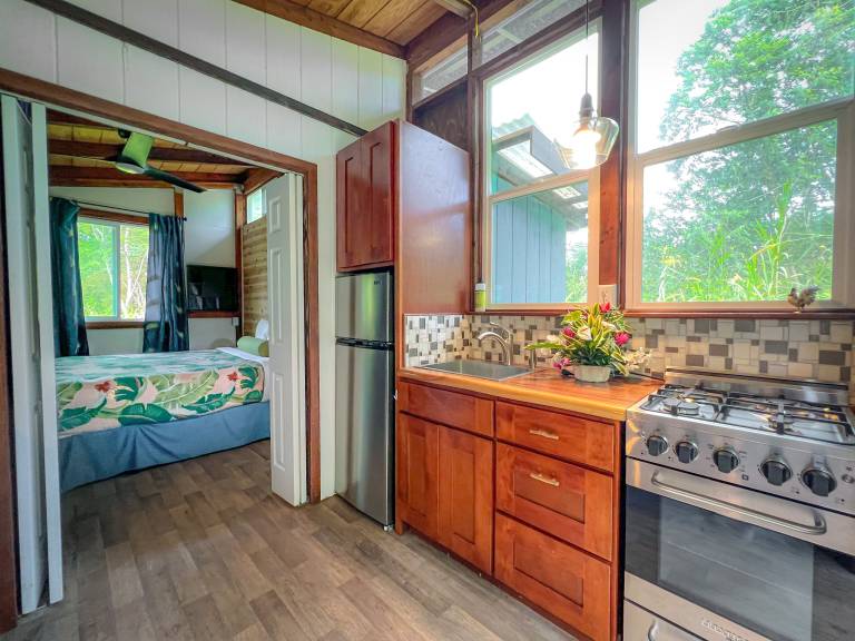 Cabin Pāhoa