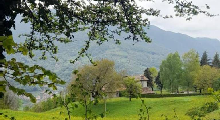 foto40