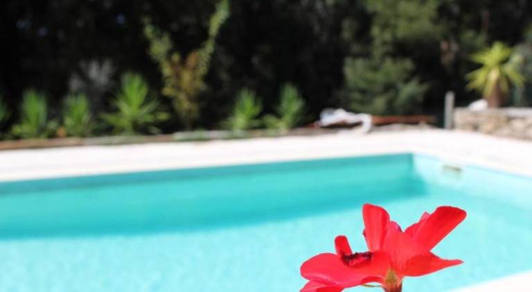 Lovely farm with garden, barbecue & terrace | Dogs allowed in Porto