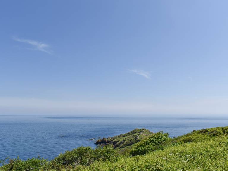 foto11