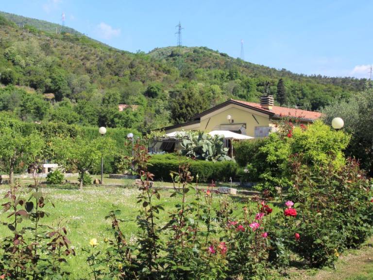 foto2