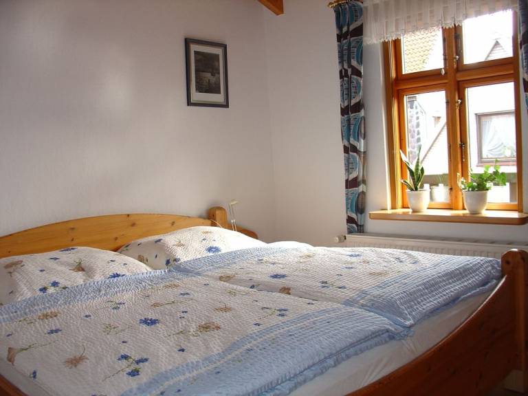 foto1
