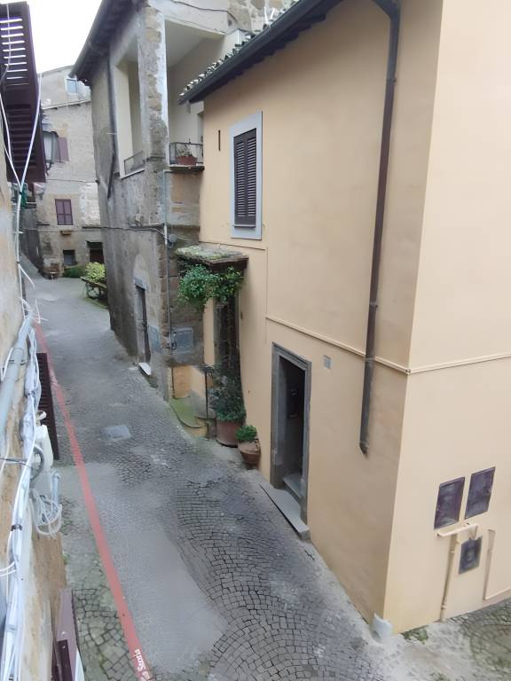 foto2