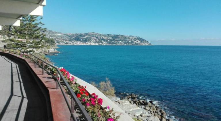 Bordighera Fivestar — photo 5