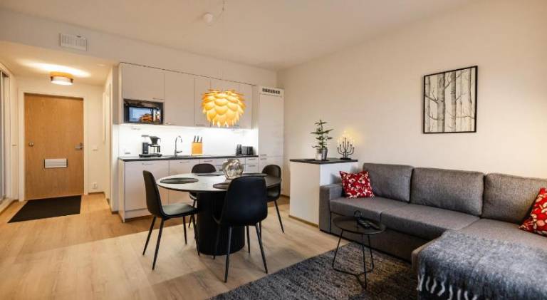 Apartment with sauna | Pets allowed — photo 2