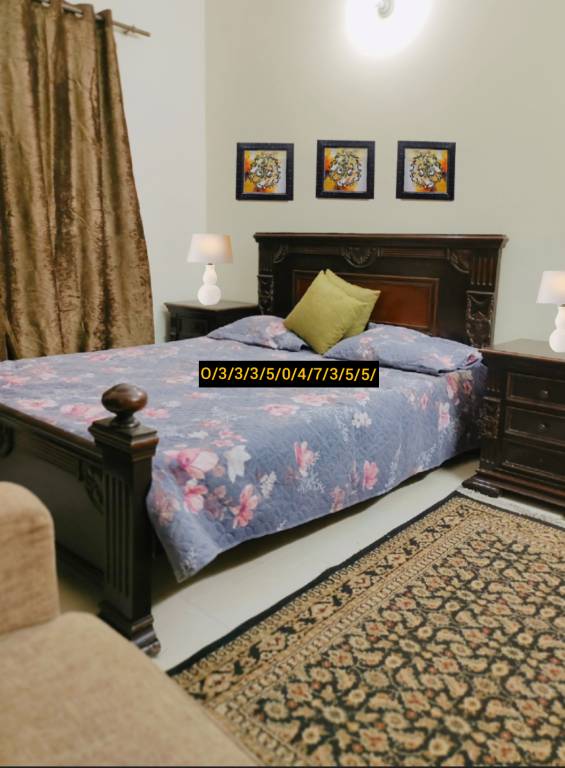 Rental apartment with yard | Dogs allowed in Lahore