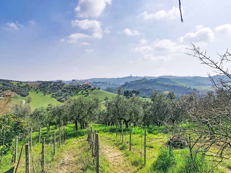 Ferienhaus Città Sant'Angelo