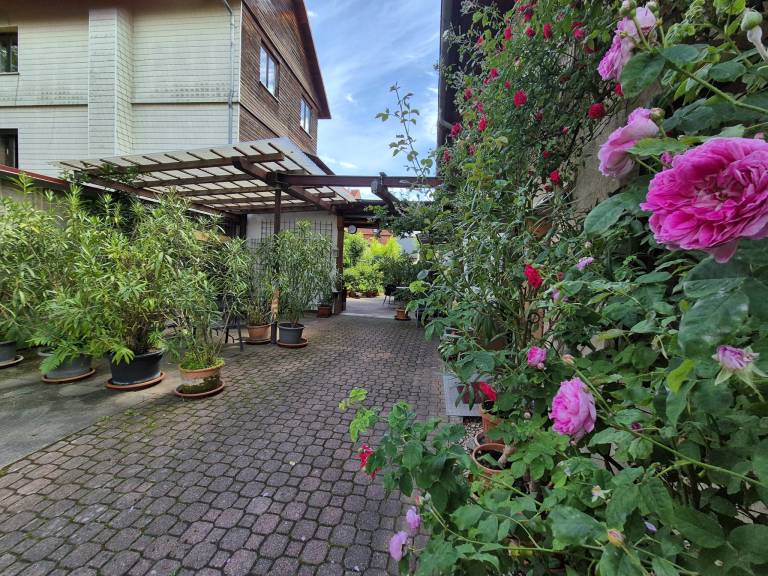 Ferienwohnung Eisenach